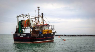 Lyme Regis Limanı Dorset İngiltere 'de tekneler
