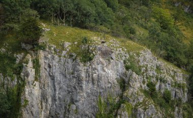 Yüksek perspektiften Cheddar Gorge uçurumları. Somerset, İngiltere 'deki Mendip Hills kanyonundaki yüksek kireçtaşı kayalıkları.