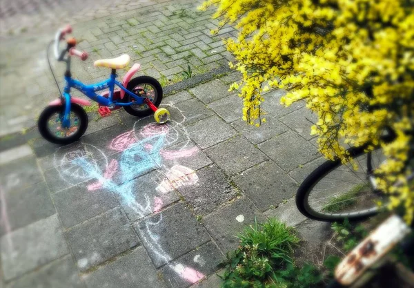 Child\'s red tricycle parked on a cobble design paved street its shadow painted with chalk in amsterdam during lockdown