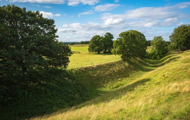 Wiltshire İngiltere Birleşik Krallığı 'ndaki Avebury' de tarih öncesi taşların yakınında otlayan inekler.