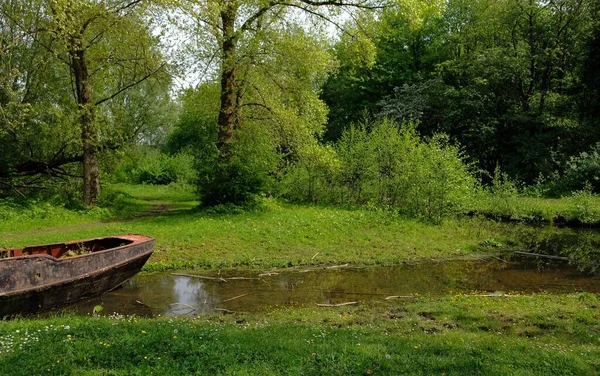 Canal Verde Amsterdam Natureza Árvores Verão Planícies — Fotografia de Stock