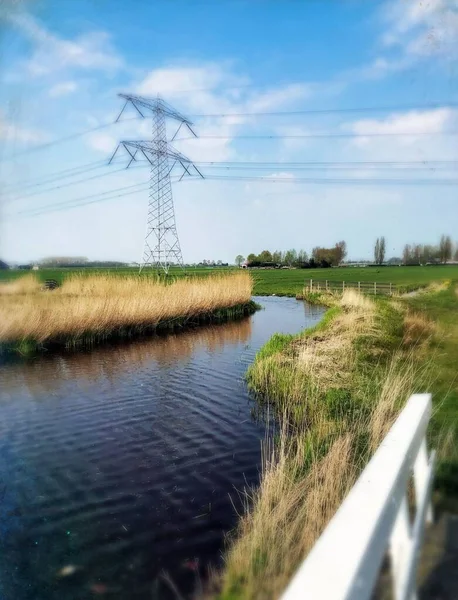 green canal in amsterdam nature trees summer netherlands