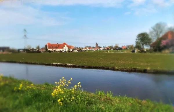 Grön Kanal Amsterdam Naturträd Sommar Nederland — Stockfoto