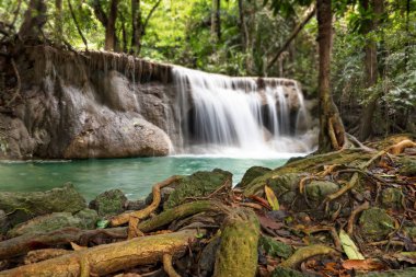 Ulusal Park, Tayland 'daki yağmur ormanlarında taze şelale.