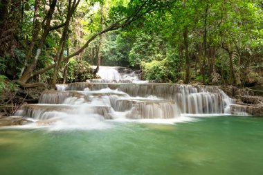 Ulusal Park, Tayland 'daki yağmur ormanlarında taze şelale.