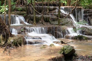 Ulusal Park, Tayland 'daki yağmur ormanlarında taze şelale.