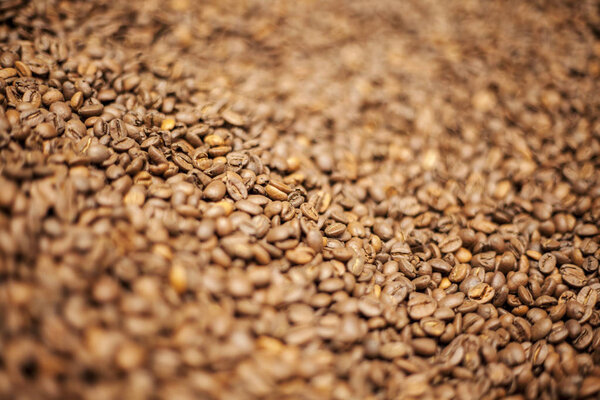 coffee beans background, close up