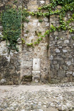 Üzüm, arka plan ile eski taş duvar