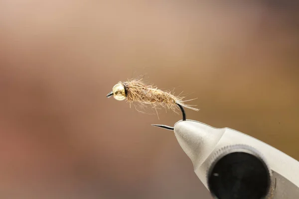 Fliegenfischer — Stockfoto