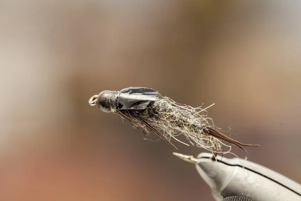 Fliegenfischer — Stockfoto