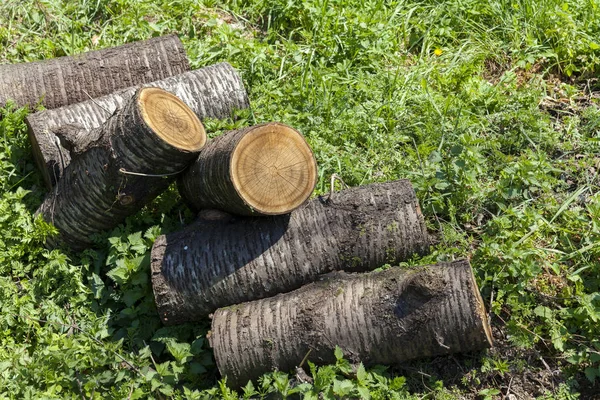 Třešňový dřevěný špalky — Stock fotografie