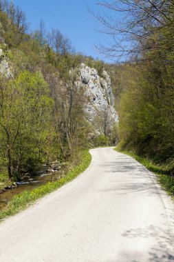 yollar ve kanyonda küçük bir dere