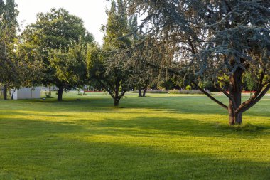 şehir parkı gün batımı