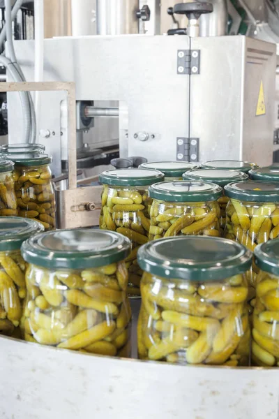 Pickles dans des pots — Photo