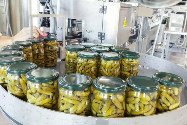 Pickles dans des pots — Photo