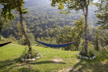 İki ağaç arasındaki bir hamakta dinleniyor.