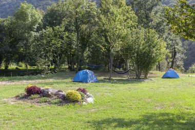 İki ağaç arasındaki bir hamakta dinleniyor.