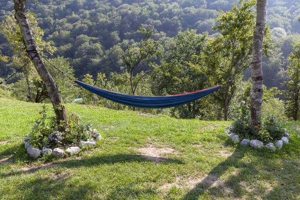 İki ağaç arasındaki bir hamakta dinleniyor.