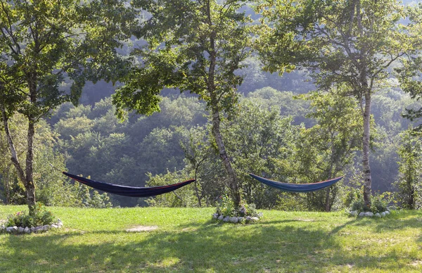Rest Hammock Two Trees Stock Image