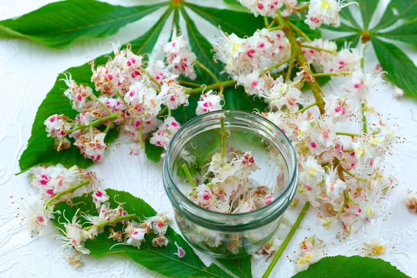 Fleurs Châtaignier Dans Pot Verre Photo De Stock