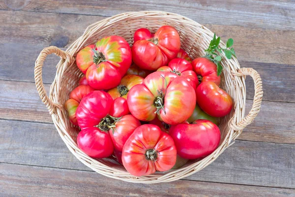 Fresh raspberry tomato in a basket.