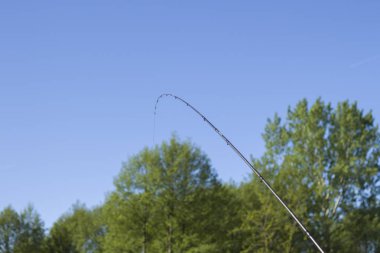 Eğri çubuk ucu mavi gökyüzü ve ağaçlar karşı.