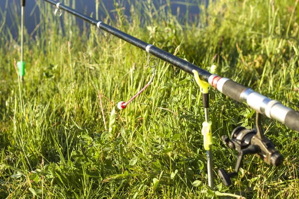 Pesca Carpas Haste Inclinada Posta Prateleiras Contra Fundo Prado Rod — Fotografia de Stock