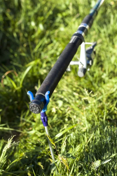 鯉釣り 斜め棒ラックに草原の背景設定 — ストック写真