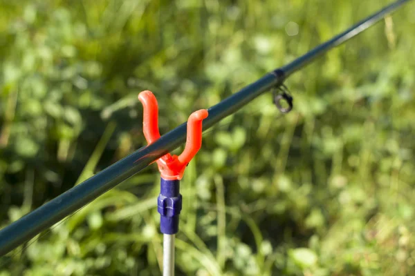 Karp Fiske Vinklade Staven Inställd Rack Mot Äng Bakgrund — Stockfoto