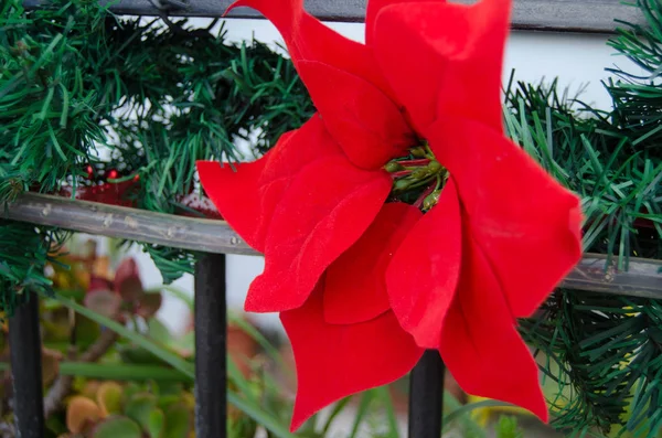 Tradicional Grinalda Natal Planta Azevinho Decoração Natal — Fotografia de Stock