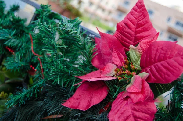 Tradicional Grinalda Natal Planta Azevinho Decoração Natal — Fotografia de Stock