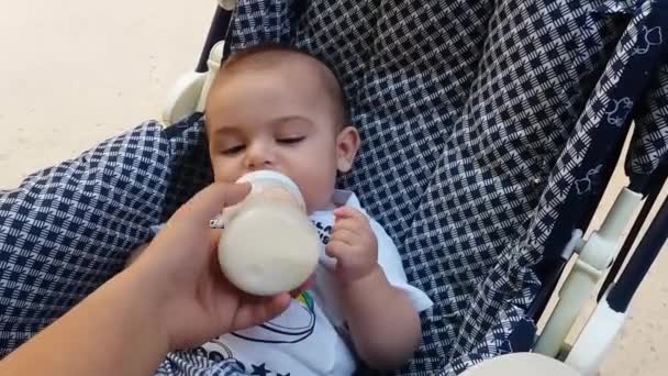 Cute baby boy in puschair drinking milk from the bottle — Stock Video