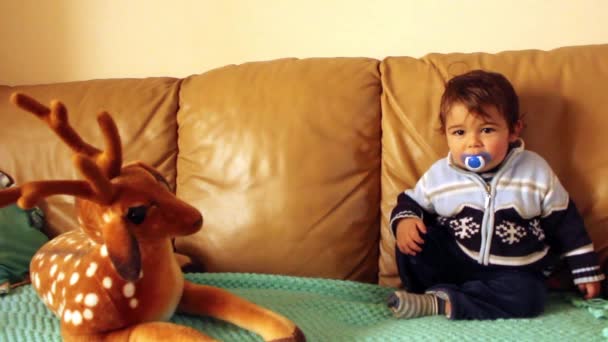Bebé niño jugando con querido juguete suave — Vídeos de Stock
