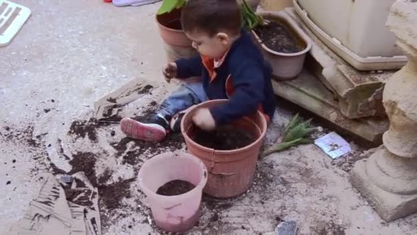 Egy másfél éves kisfiú játszik a piszok — Stock videók