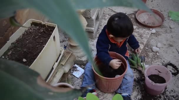 Полуторагодовалый мальчик, играющий с грязью и сажающий алоэ верде — стоковое видео