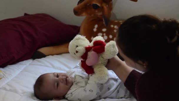 母亲抱着可爱的树几个月大的男婴躺在肚子上与泰迪熊和亲爱的软玩具在背景 — 图库视频影像