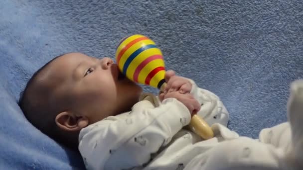 树月大新生男婴抱着马拉卡斯 并试图咬它 早期发展的概念 — 图库视频影像