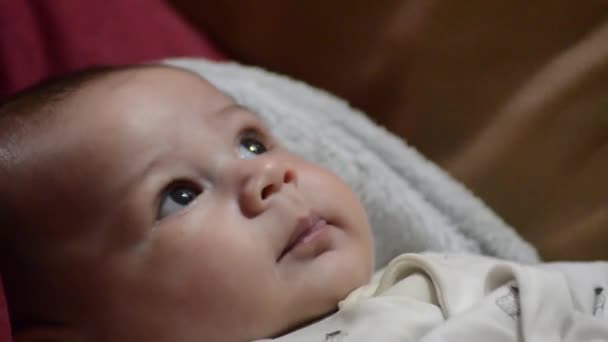 かわいいツリー ヶ月男の子幼児ヘッド シュート をすぐ変な顔を作る — ストック動画