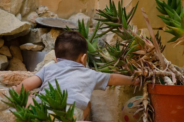 Lindo Niño Dos Años Jugando Con Tierra Plantas Higiene Concepto — Foto de Stock