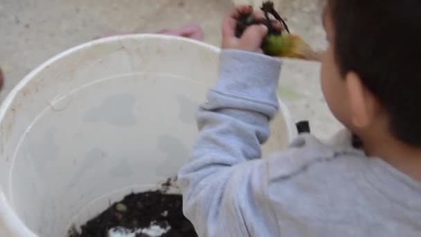 Cute Two Years Old Boy Playing Dirt White Bucket — Stock Video