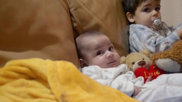 Fratelli seduti sul divano - bambino di 3 mesi e suo fratello maggiore di due anni — Video Stock