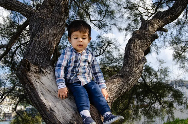 Lindo Niño Años Vestido Con Camisa Sentado Árbol Sucio Alrededor —  Fotos de Stock