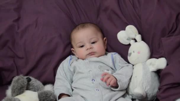 보라색 토끼 장난감 확대와 침구에 귀여운 4 개월 된 아기 — 비디오
