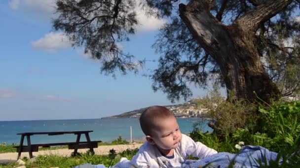 Leuke 4 maanden oud jongetje met buik tijd onder de boom, de bloemen aan de voorkant, de zee op achtergrond — Stockvideo