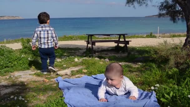 Netter zweijähriger Junge sammelt Steine, während sein kleiner Bruder Bauch unter dem Baum hat — Stockvideo