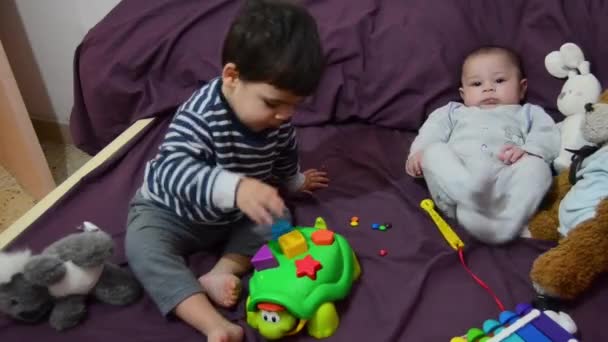 Χαριτωμένο δύο ετών αγόρι παίζει με χελώνα εκπαίδευση παιχνίδι, ενώ ο αδελφός του μωρού είναι βλέποντας και χαμογελαστός — Αρχείο Βίντεο