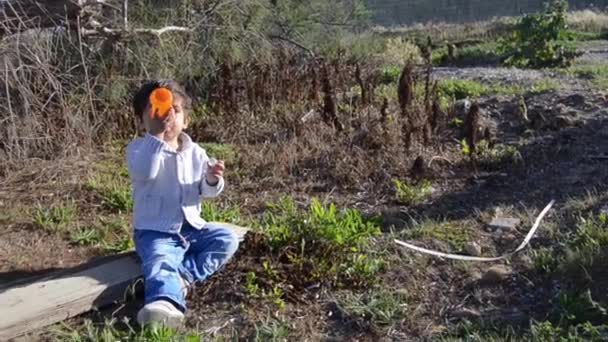 Süßer zweijähriger Junge trinkt Wasser aus Flasche in der Natur — Stockvideo