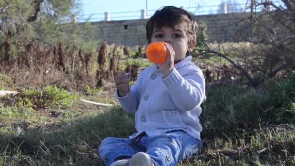 Lindo niño de dos años bebiendo agua de la botella en la naturaleza — Vídeos de Stock