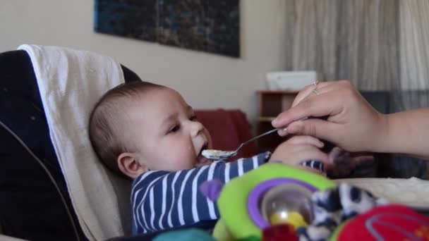 Hungriges Baby kann nicht auf Nahrung warten. Mutter neckt Baby, gibt ihm aber mit Löffel zu essen — Stockvideo
