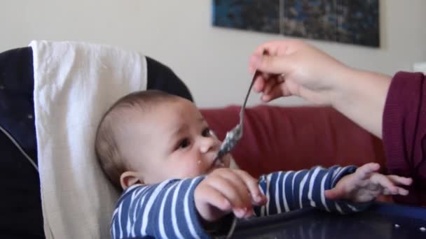 Hongerige baby heeft geen geduld om te wachten op voedsel. Moeder voeding zes maanden oude baby jongen in de kinderstoel — Stockvideo